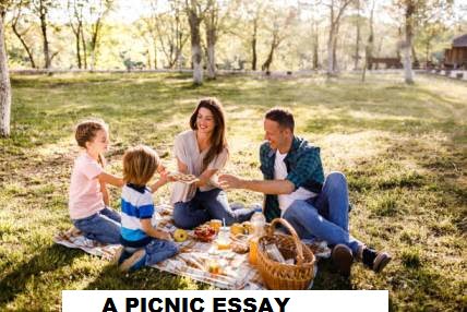 a picnic you have enjoyed essay in 250 words