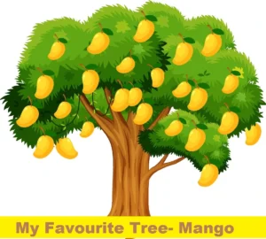 my favourite tree mango