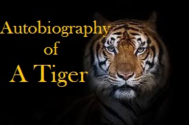 Autobiography of a tiger