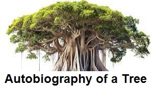 autobiography of a tree