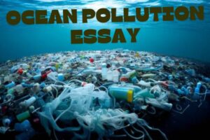 essay on ocean pollution